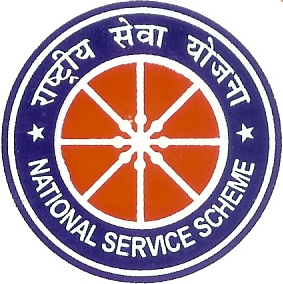 NSS LOGO